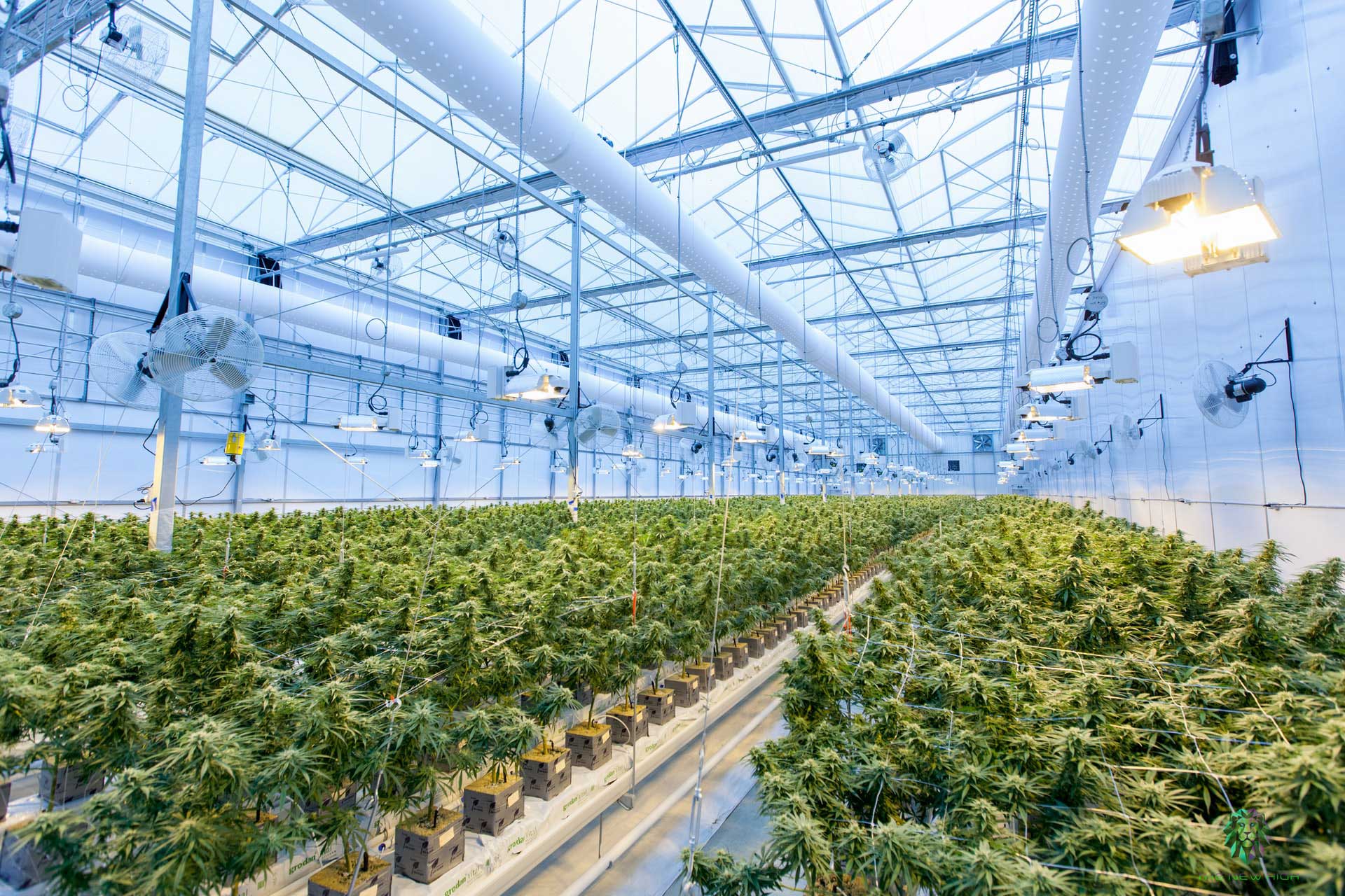 horticulture-greenhouse-hero-background.jpg