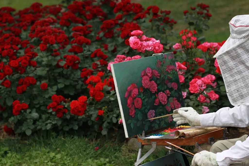 rose, flowers, painter