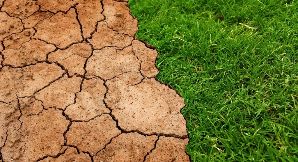 global, warming, climate