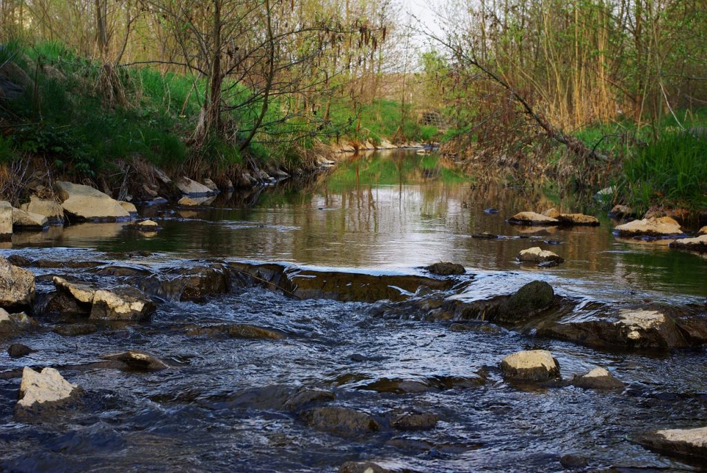 river, water, bach