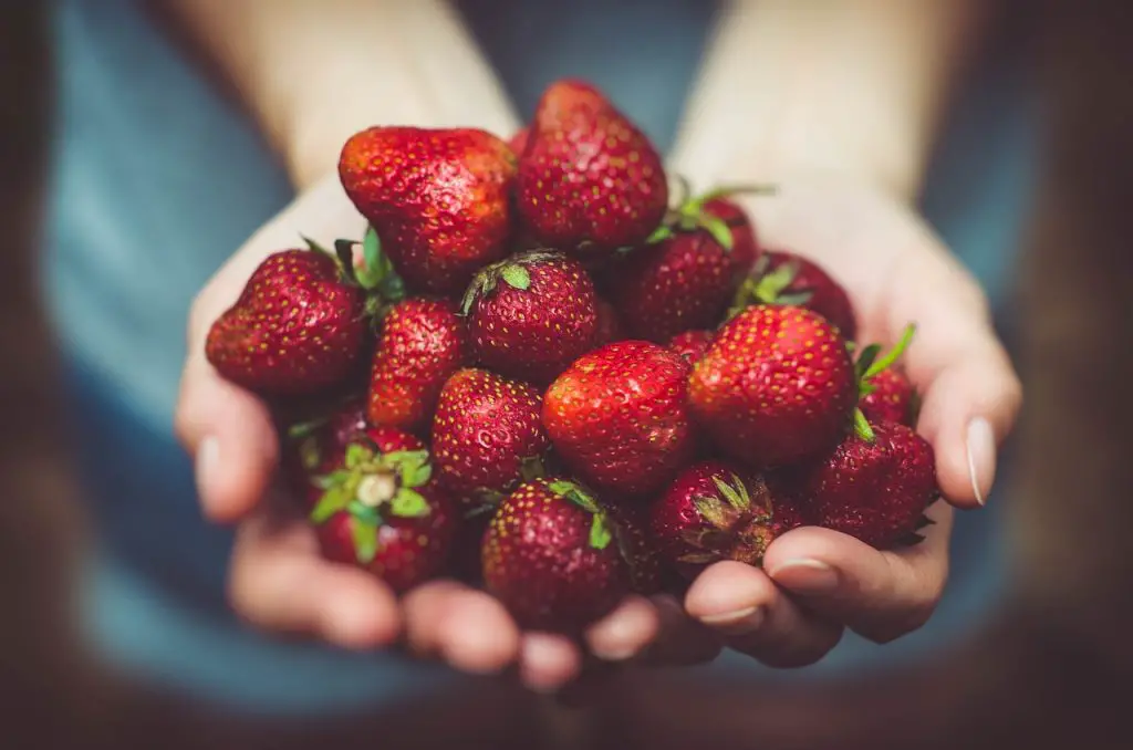 strawberries, fruits, close-up