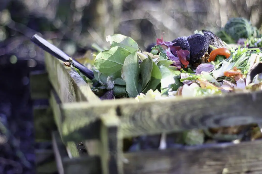 garden, compost, nature