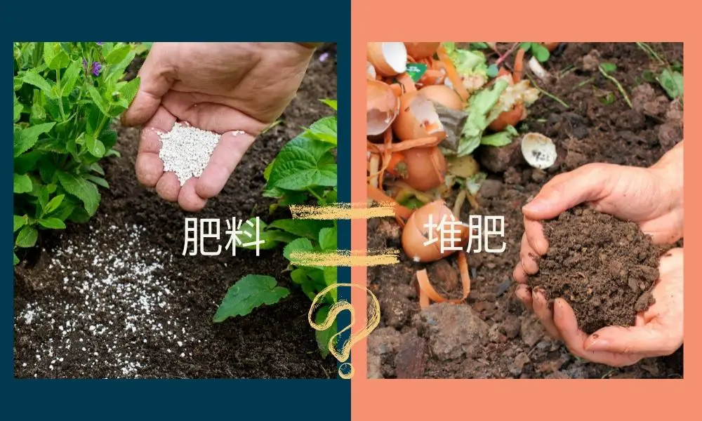 堆肥與肥料有什麼分別？