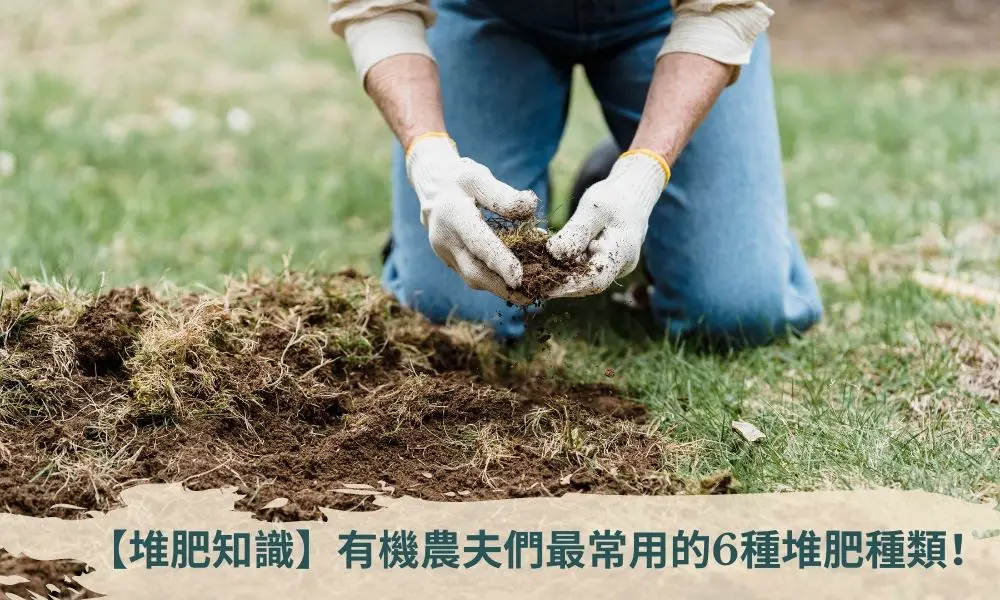 【堆肥知識】有機農夫們最常用的6種堆肥種類！