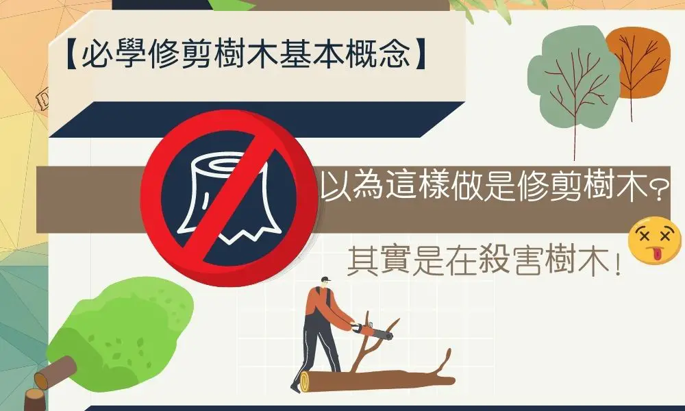 【修剪樹木指南】去頂式修樹會間接殺死樹木？！入門基礎修樹方法