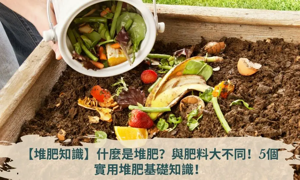 【堆肥知識】什麼是堆肥？與肥料大不同！5個實用堆肥基礎知識！