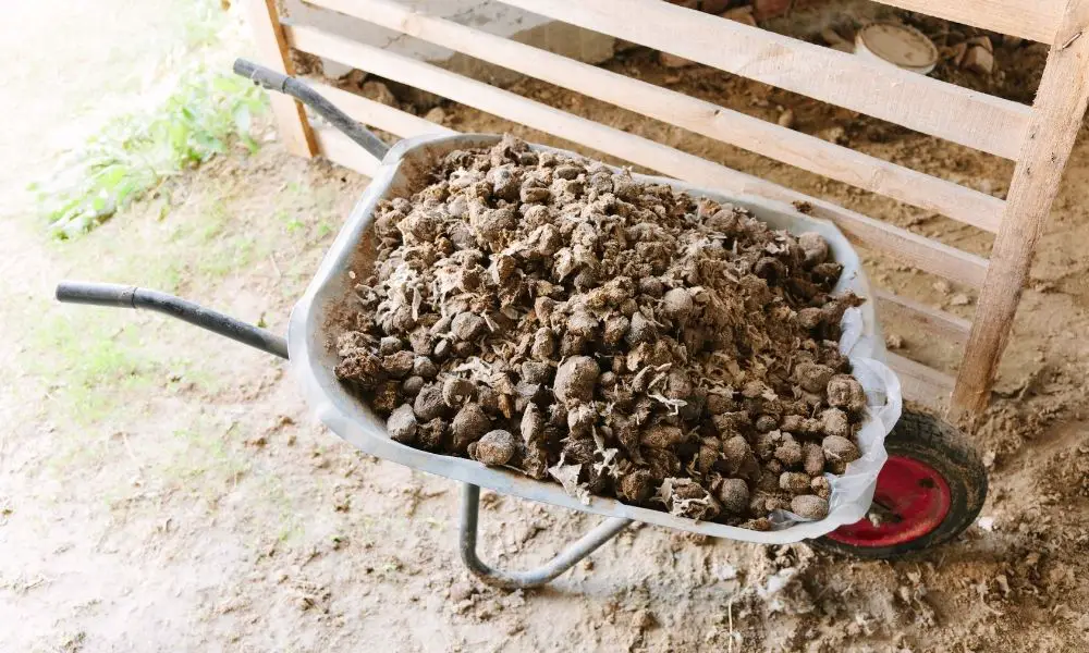 農夫們必知的6種堆肥種類-馬糞堆肥