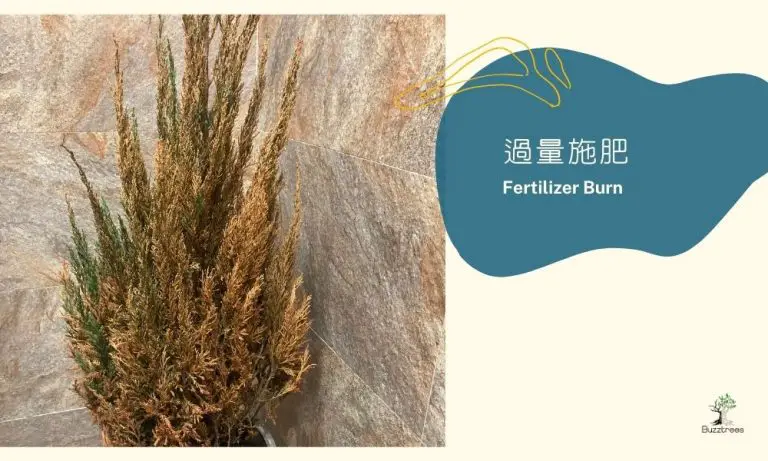 營養液使用不當​