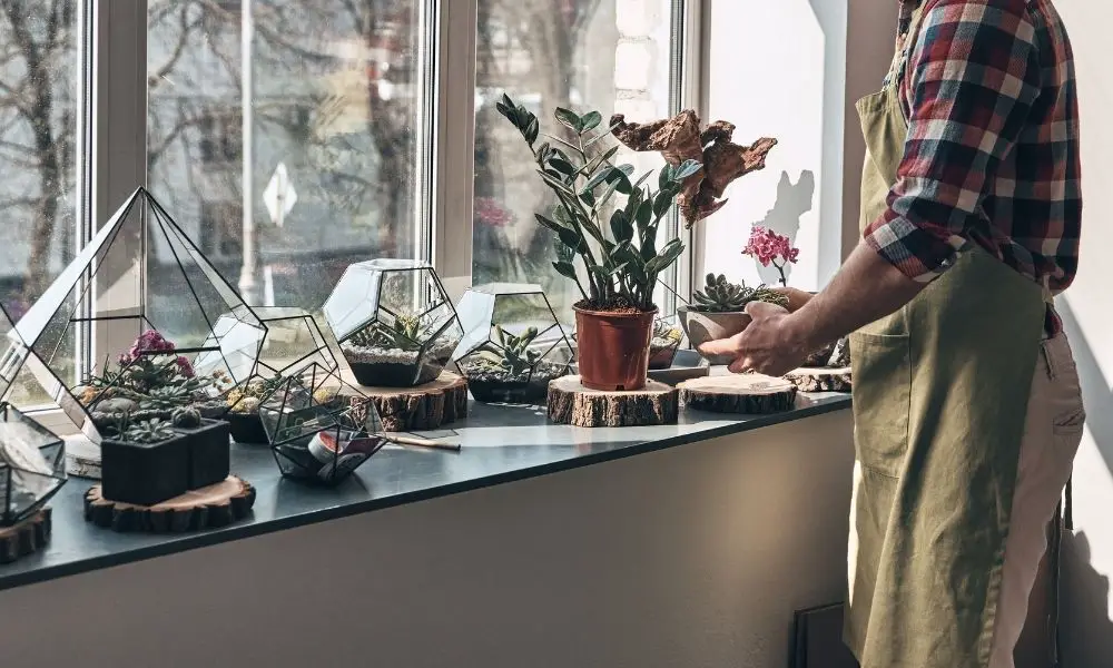 【植物急救】水種植物葉子變黃、爛根的原因?6招立即找出問題所在！