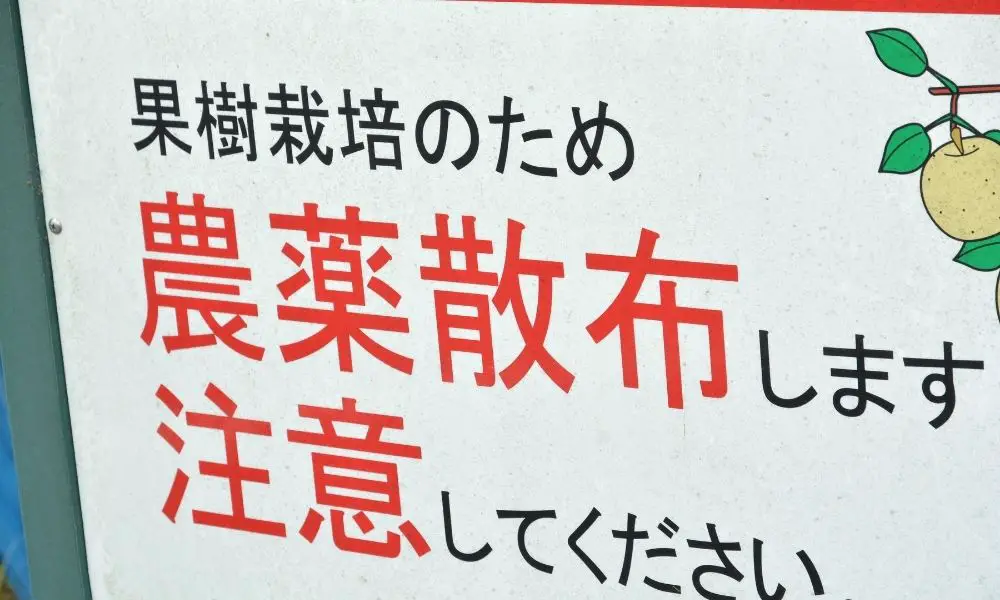 苦楝油的注意事項及使用技巧 (如何避免藥害)​