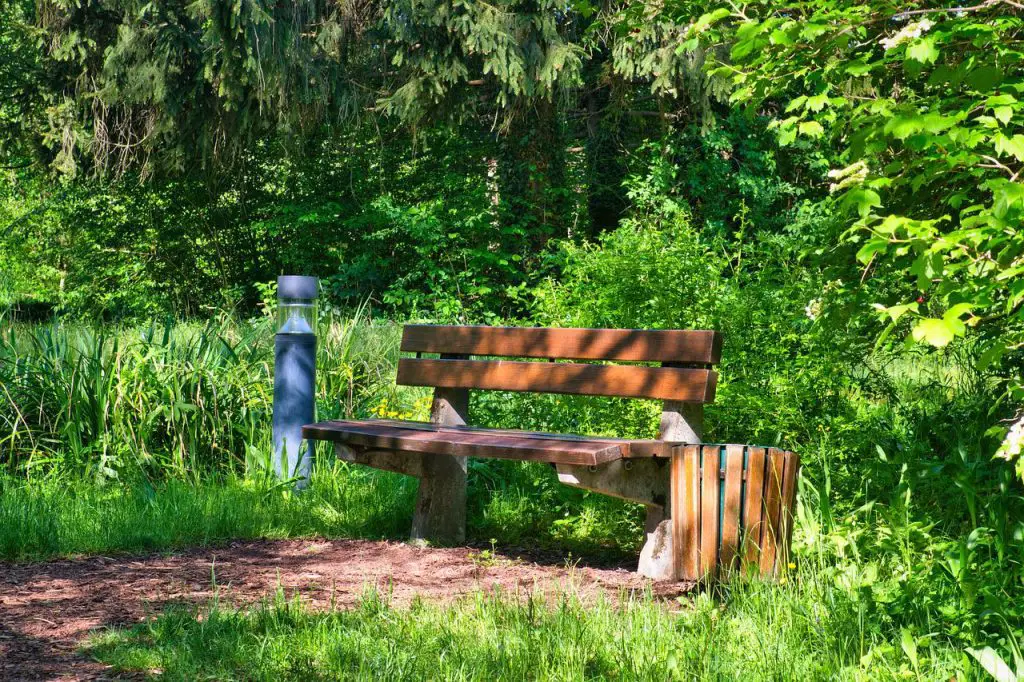 garden bench, seat, park bench-5150148.jpg