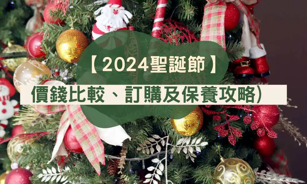 2024聖誕樹價錢比較、訂購及保養攻略)