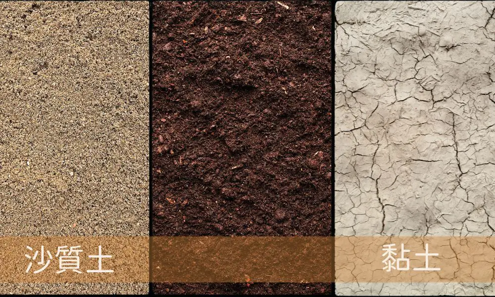 土壤質地 (Soil Texture) Buzztrees