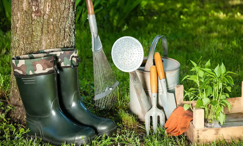 【園藝工具保養要點!】如何清潔和消毒你的園藝工具和農具?