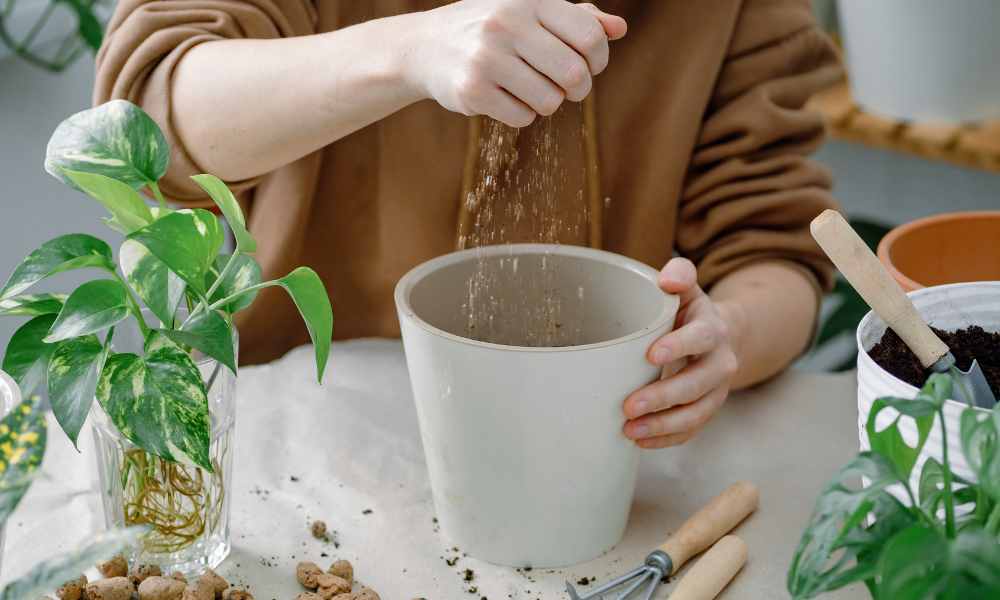 盆栽植物用土：蛭石
