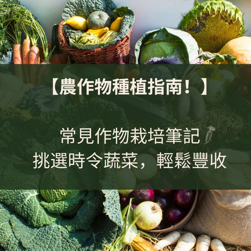 農作物種植指南