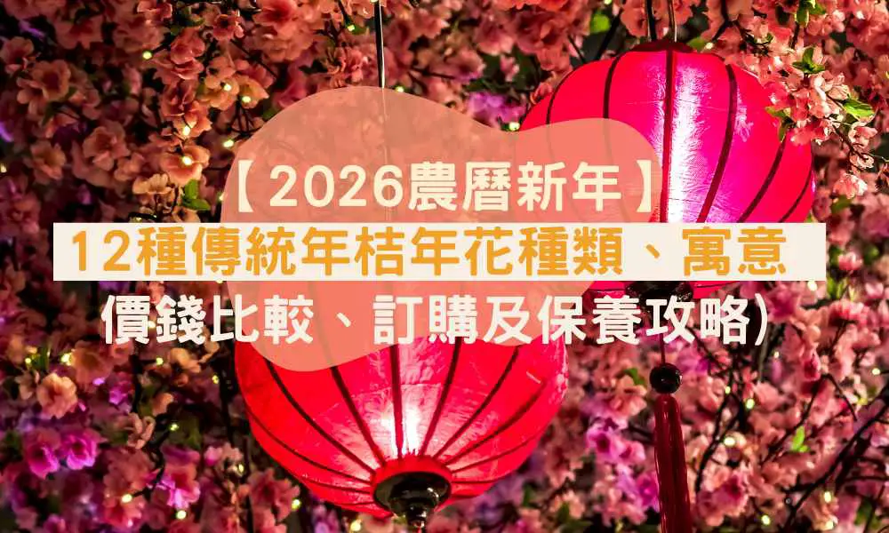 2026農曆新年】12種傳統年桔年花種類、寓意（連價錢比較、訂購及保養攻略)