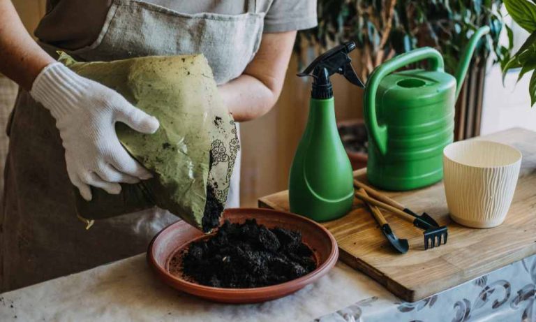 【舊土變肥土】盆栽種植過的泥土如何重用?