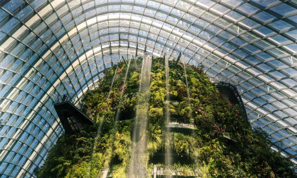 能在太空活下來的地球生物