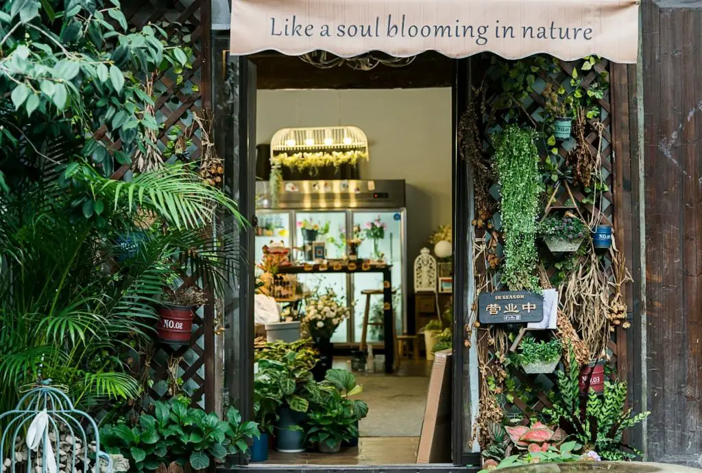 【嗡嗡樹】訂購花及植物-門店自取